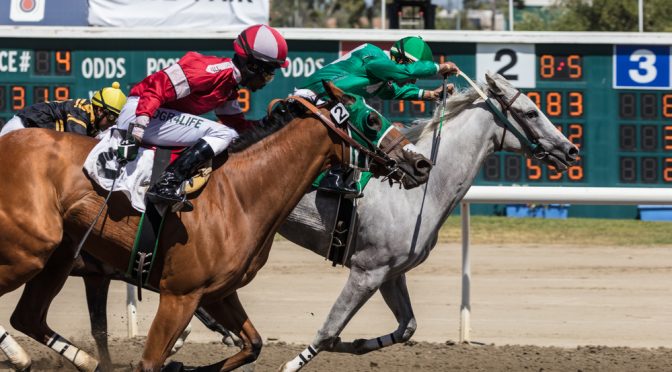 How to Play Horse Racing Betting: A Beginner’s Guide