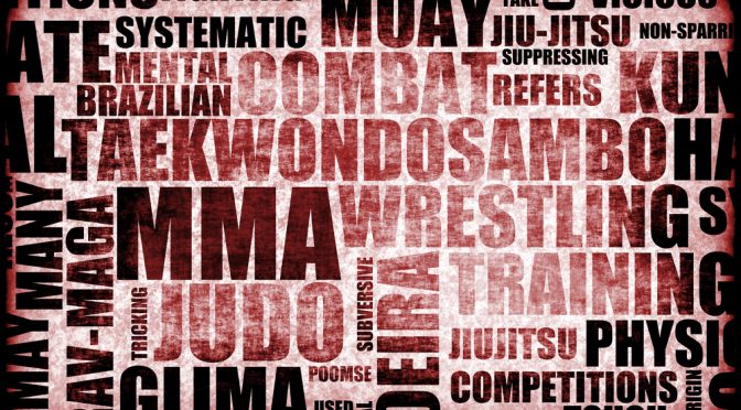 Master MMA Betting: Expert Tips for Profitable Wagers