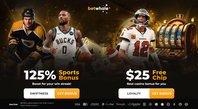 Betwhale App vs. the Competition: What Makes It a Winning Choice?