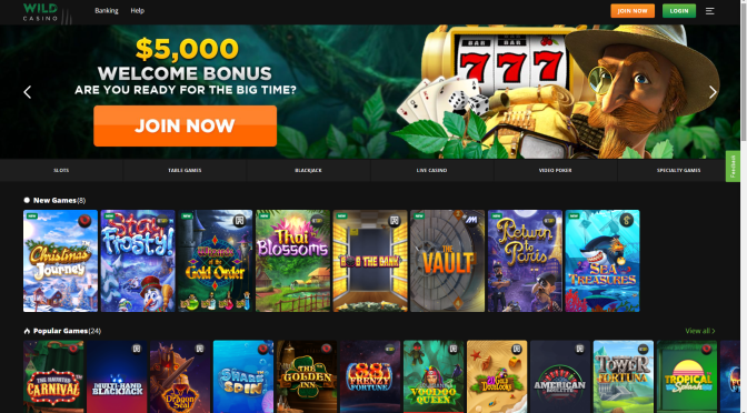 Does Wild Casino Pay Out Real Money? A Comprehensive Guide