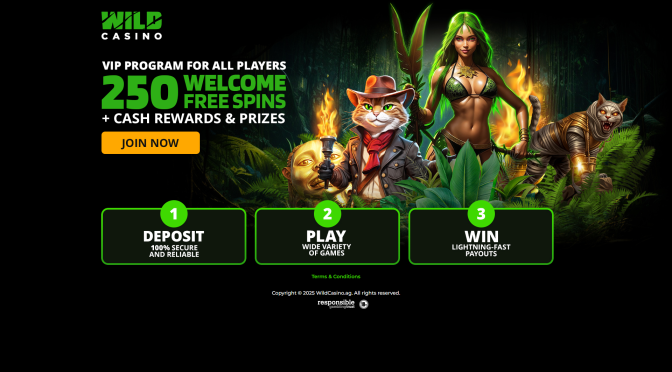Does Wild Casino Have a No Deposit Bonus?