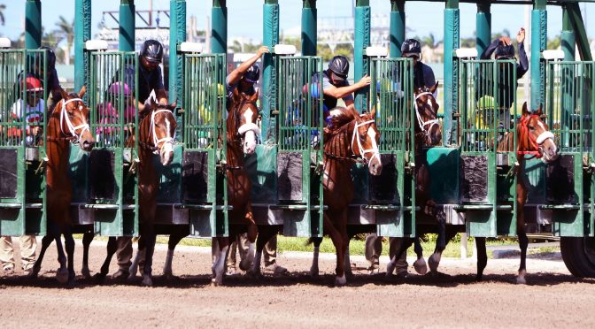 How to Bet for Derby: A Simple Guide for Beginners