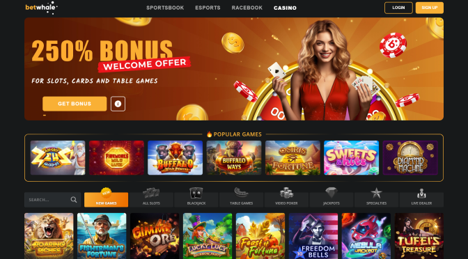 Offshore Gambling Bonuses: What They’re Not Telling You
