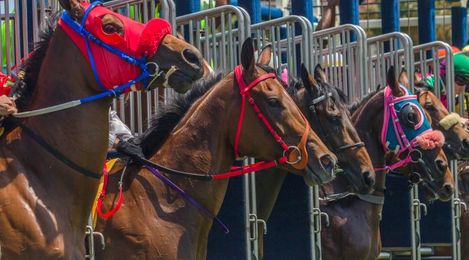 No Clue Where to Start with Horse Racing? Let’s Fix That