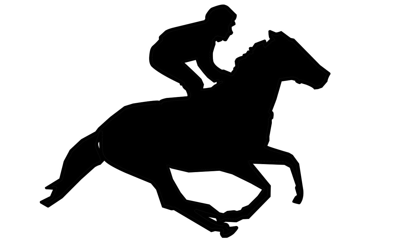 How to Compare Offshore Sportsbooks Before Opening an Account